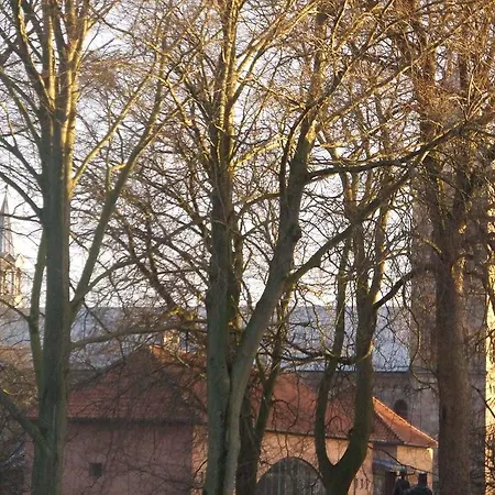 Gasthuis Nattely I By *